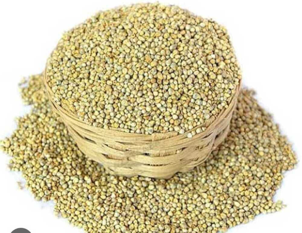 Natural Pearl Millet Grains