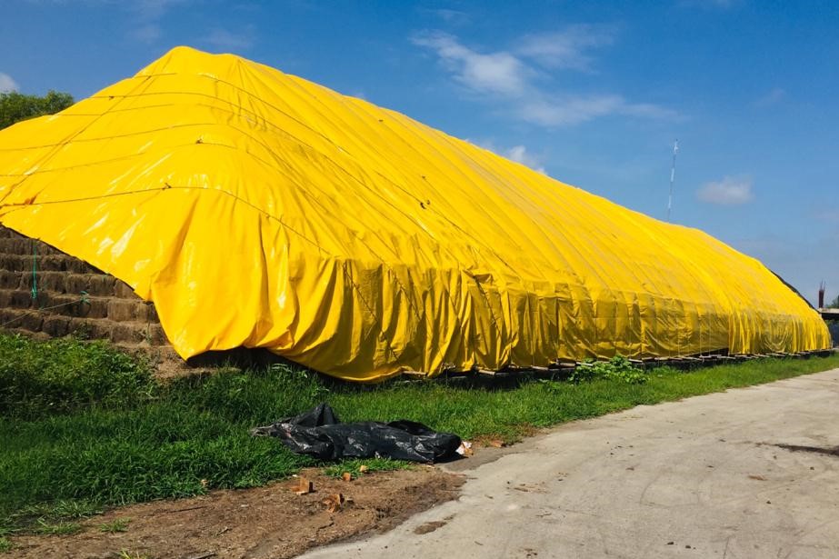 Cross Laminated Tarpaulin