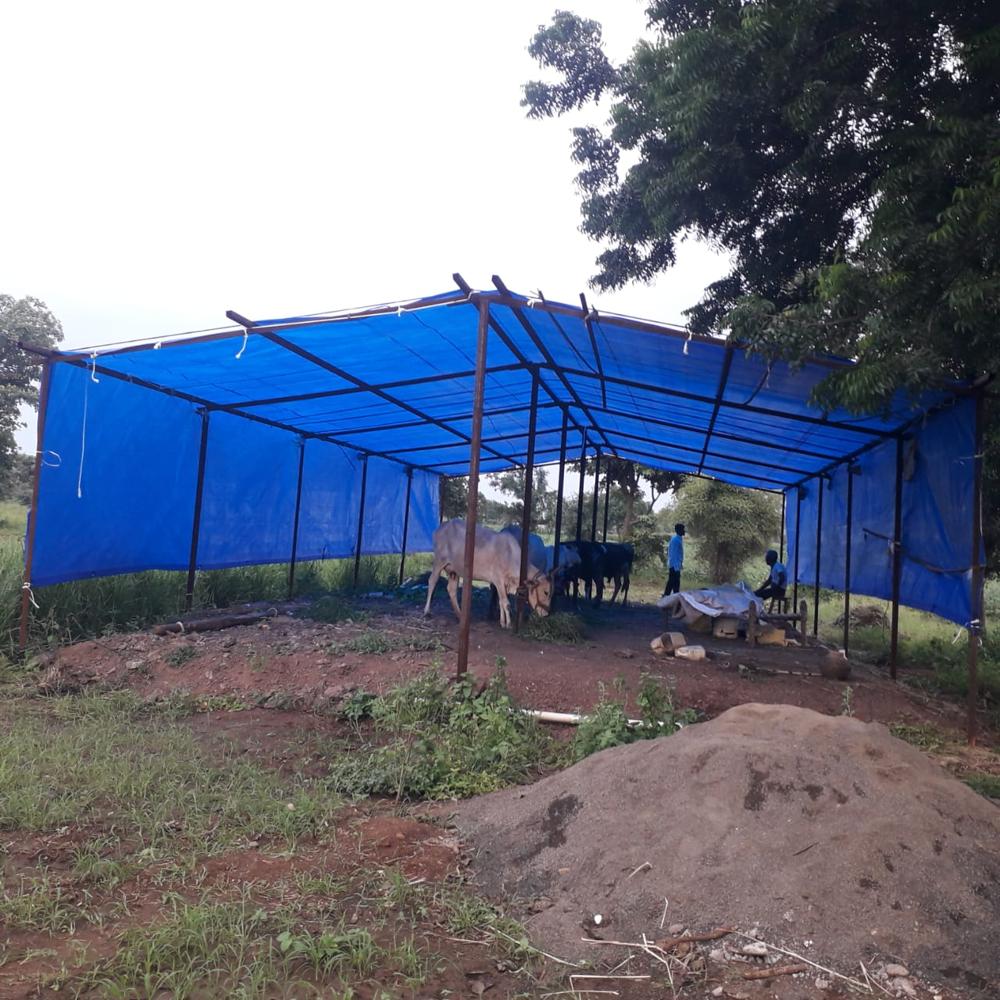 Cross Lamination Sheet