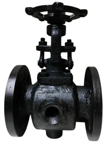 Steam Jacketed Valves