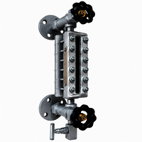 Transparent Level Gauge - Application: Chemical Processing