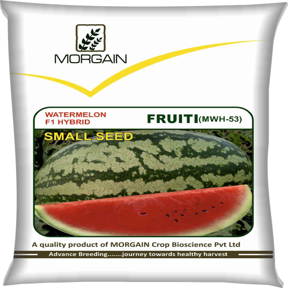 Watermelon F1 Fruiti