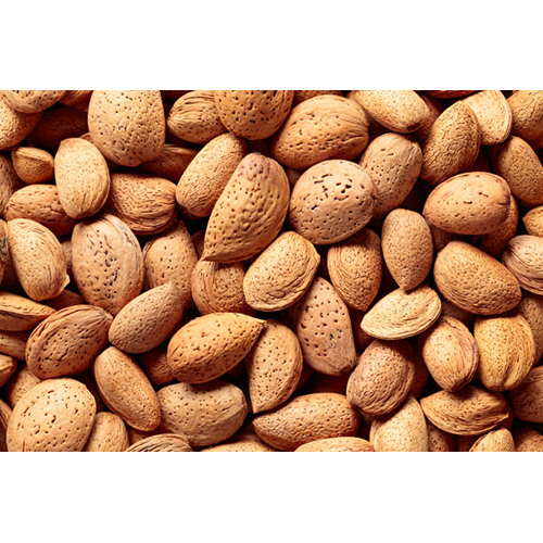 Kashmiri Kagzi Almond - Grade: Food Grade