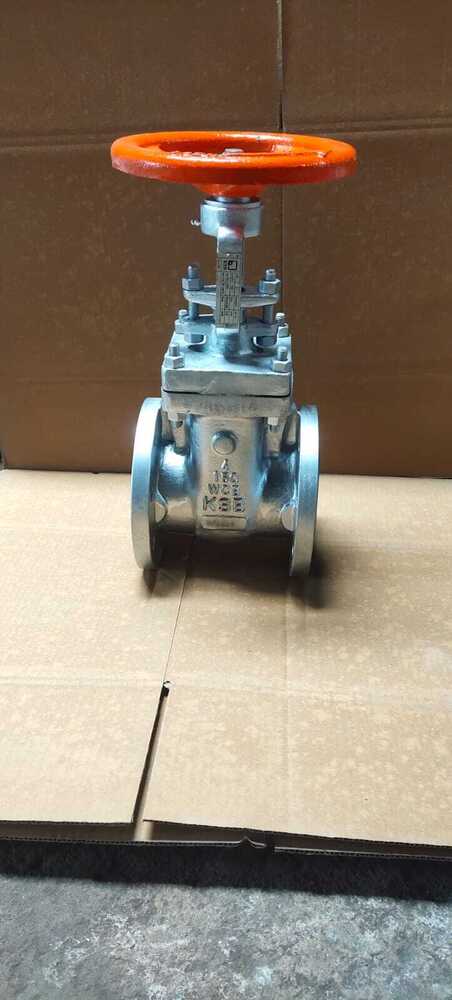 Carbon steel gate valve