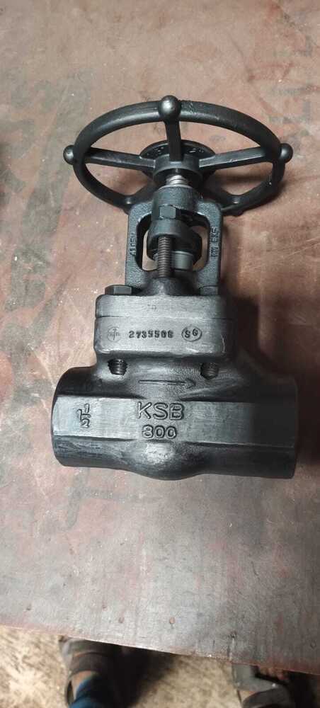 High pressure globe valve