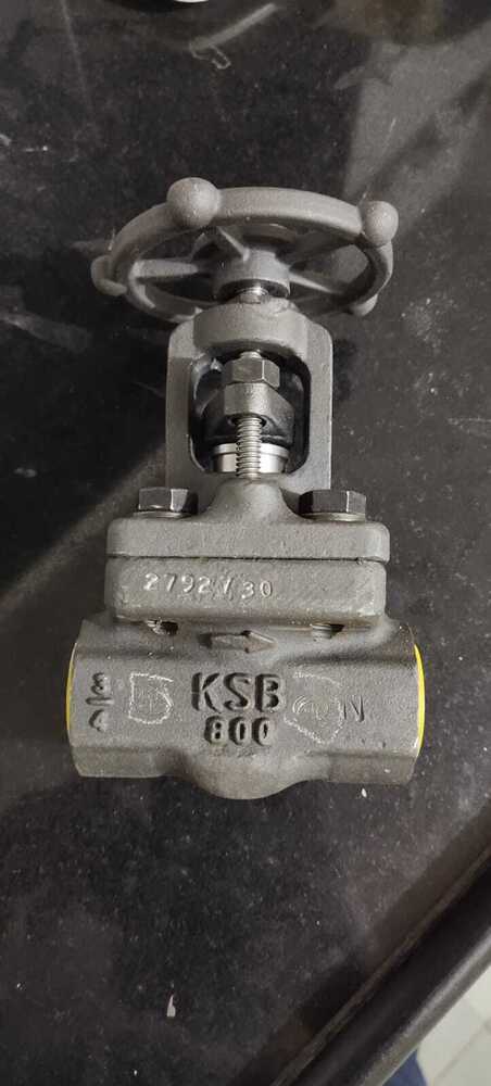 High pressure globe valves