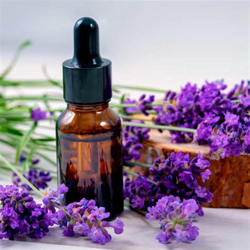 Lavender Oil - Odour: Mild