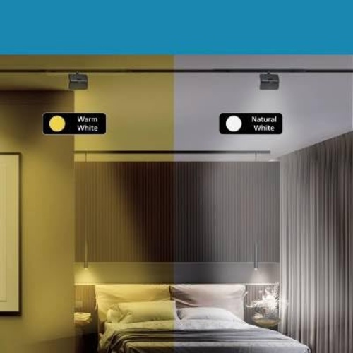 81989 Philips Webber 6Wfoldableblade Ww - Application: Accent / Decorative / Task Lighting