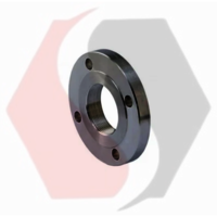 Mild Steel Forged Flange - Application: Auto Parts