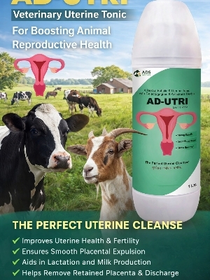 Animal Feed Supplements