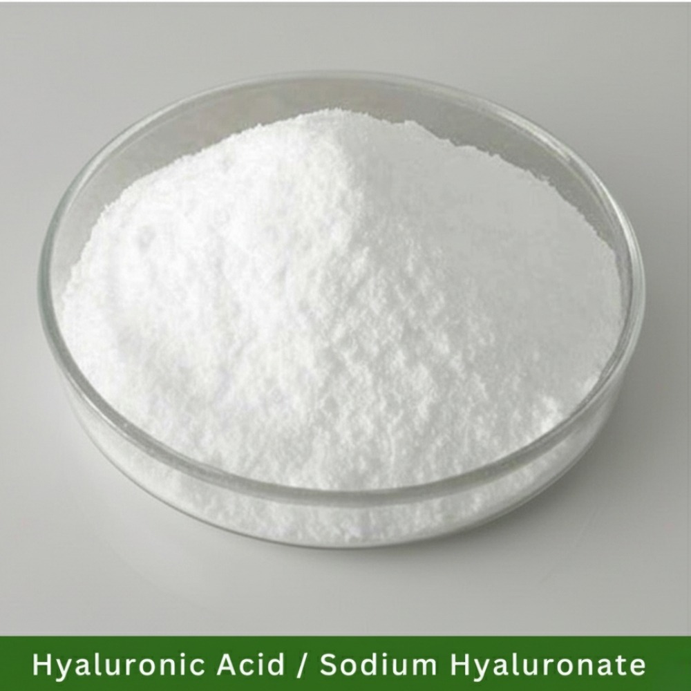 Sodium Hyaluronic Acid Powder