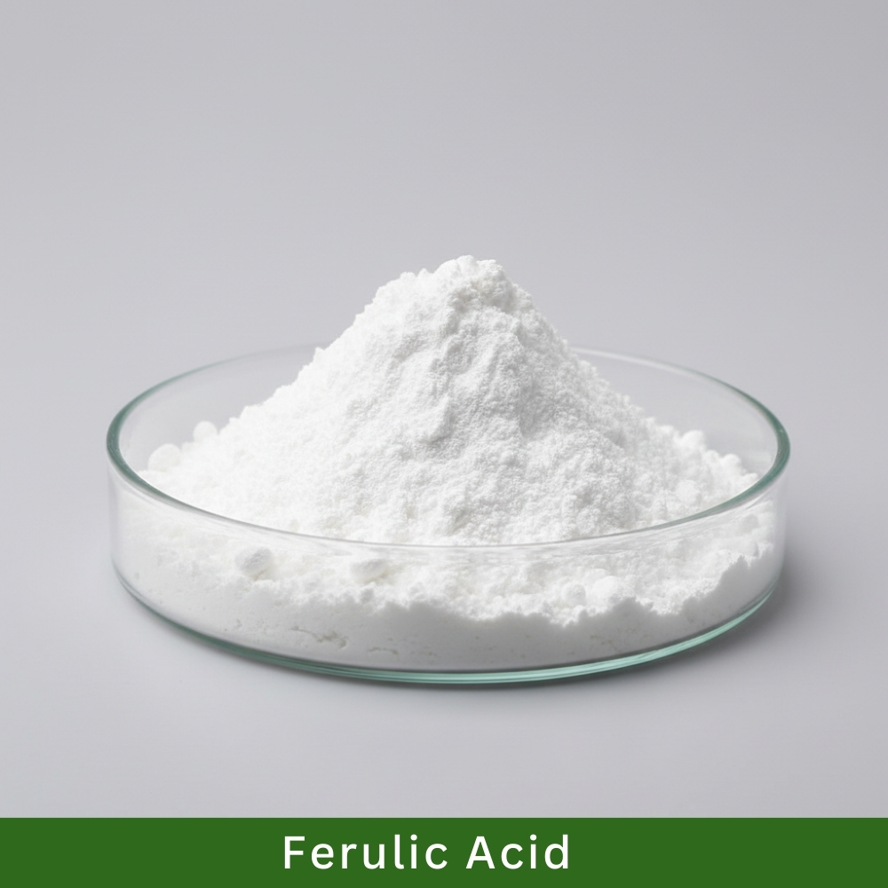 Ferrulic Acid Powder