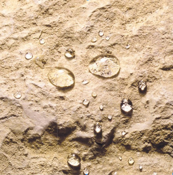 Guard Hardener W- Hardener for Concrete, Stone, Masonry, Floor, Wall Consolidation - Water Repellent Sealer - 1 Liter