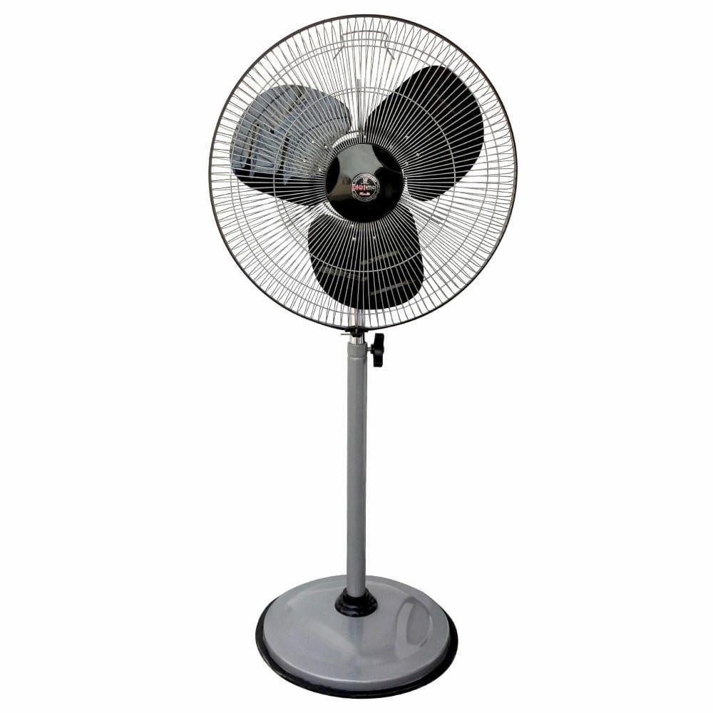 Pedestal Fan