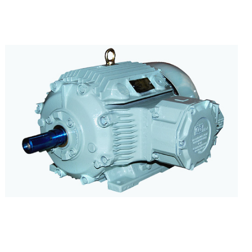 3 Phase AC Motor