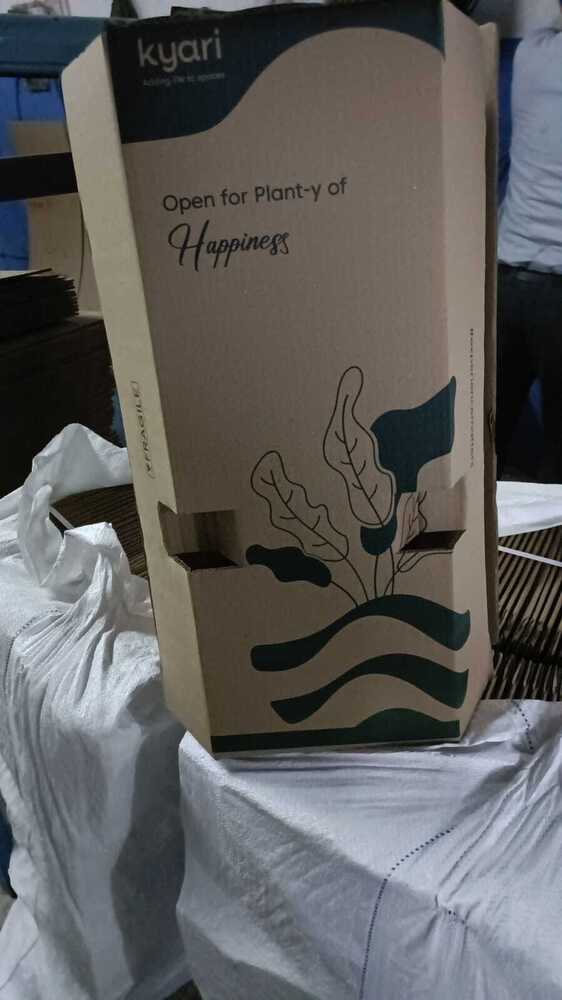 5 Ply Corrugated Packaging Box