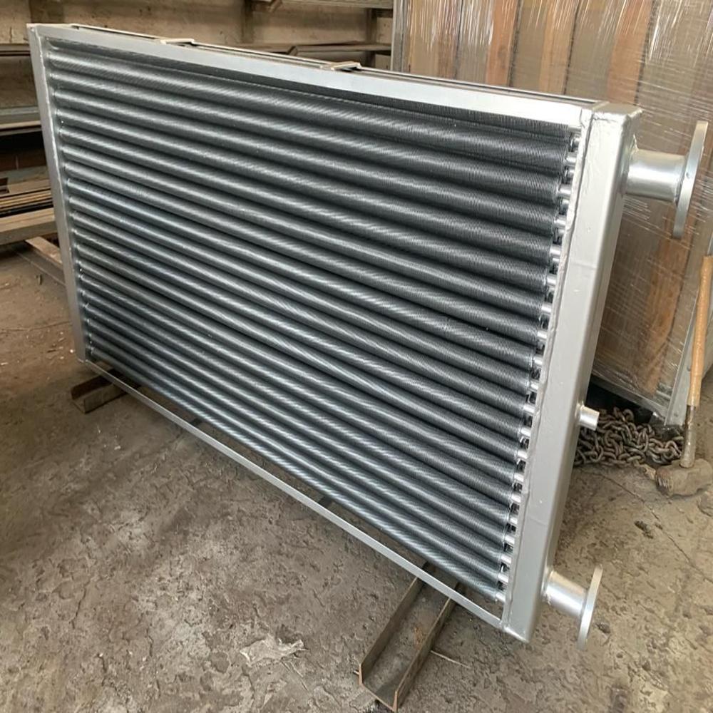 Food Processing Heat Exchanger