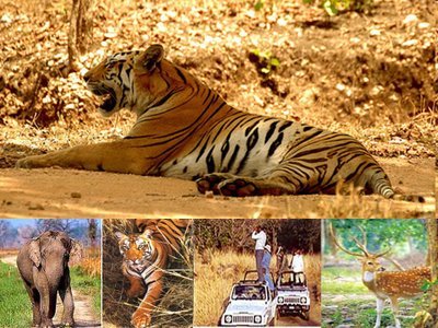 गोल्डन ट्राएंगल टूर कॉर्बेट नेशनल पार्क के साथ