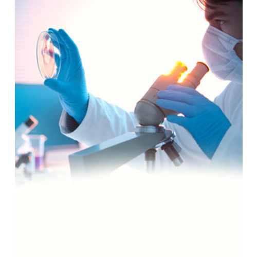 Contract Research Services