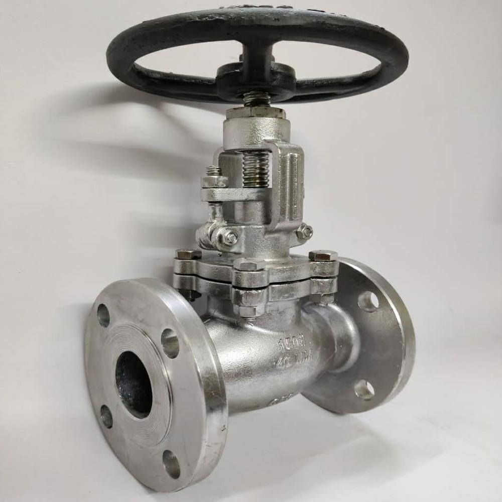SS Globe Valve