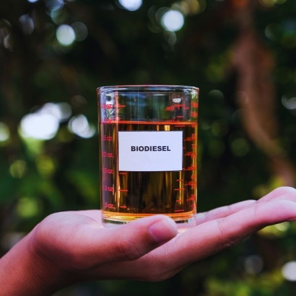 Fuel Biodiesel