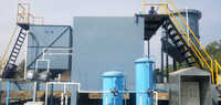 Gravity Filtration Plant - Color: Multiple