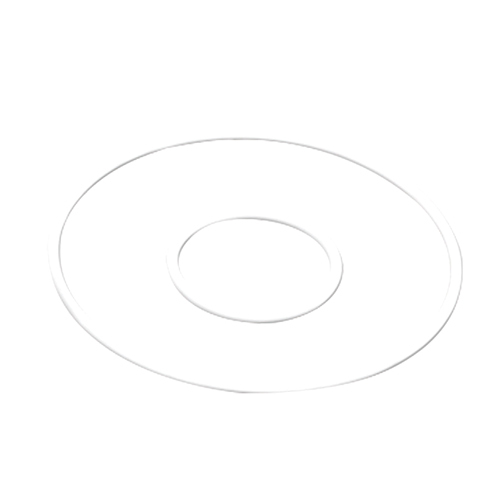 PTFE O Ring