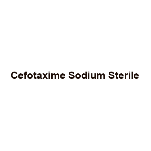 Cefotaxime Sodium Sterile