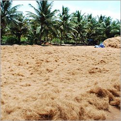 कॉयर पिथ ब्लॉक