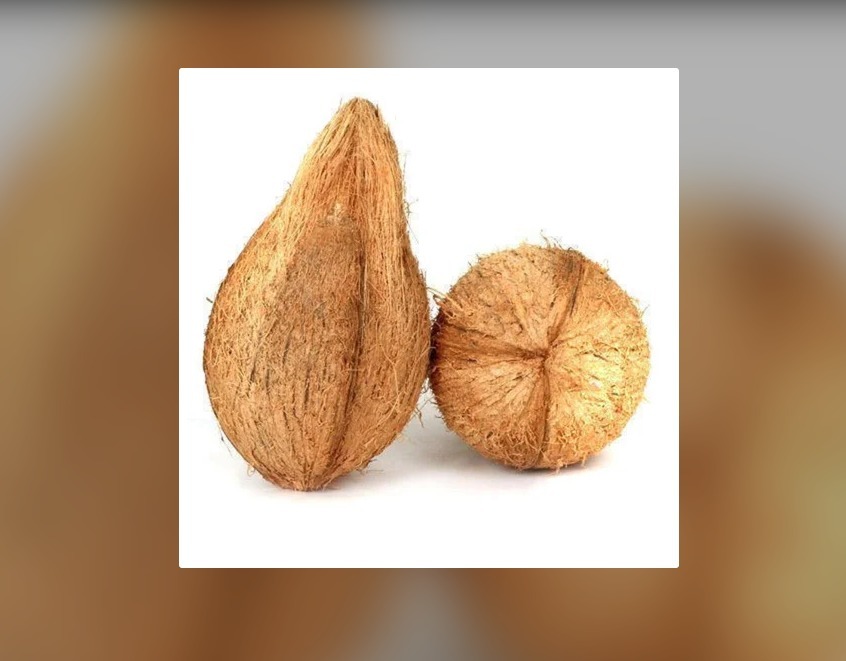 Fresh Semi Husked Coconut