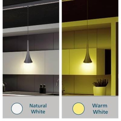 800058 Philips Webber TROMBONE 7W WW