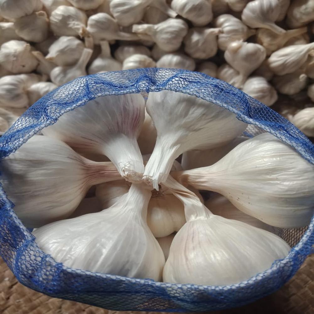 स्वचालित लहसुन लगाने वाला