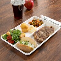 Lunch Tray Bagasse - Color: White