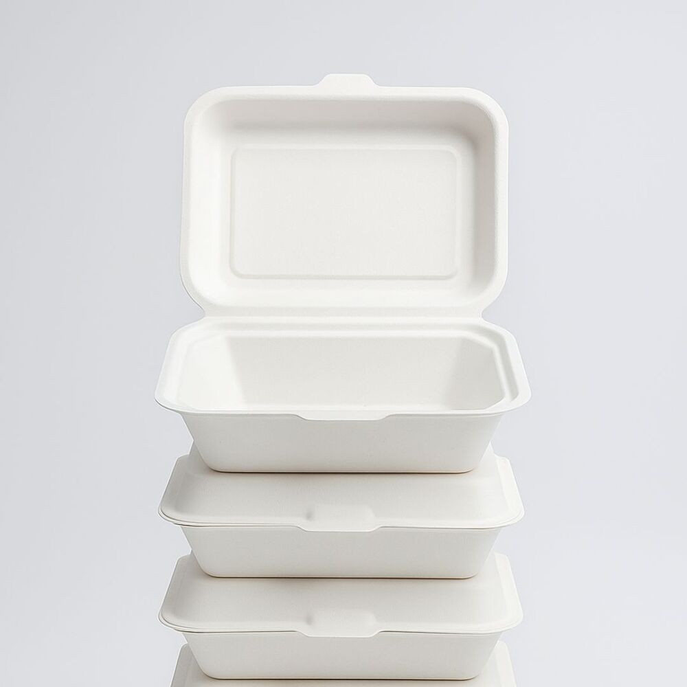 Bagasse Disposal (7x5 Lunch Box)