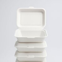 Bagasse Disposal (7x5 Lunch Box) - Color: White