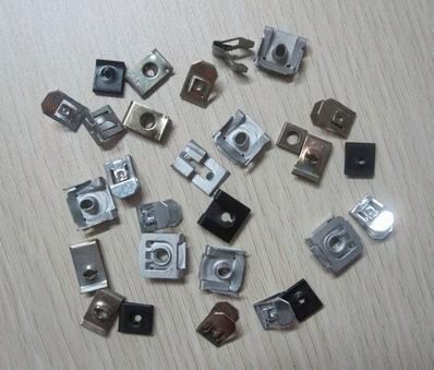 स्प्रिंग नट्स