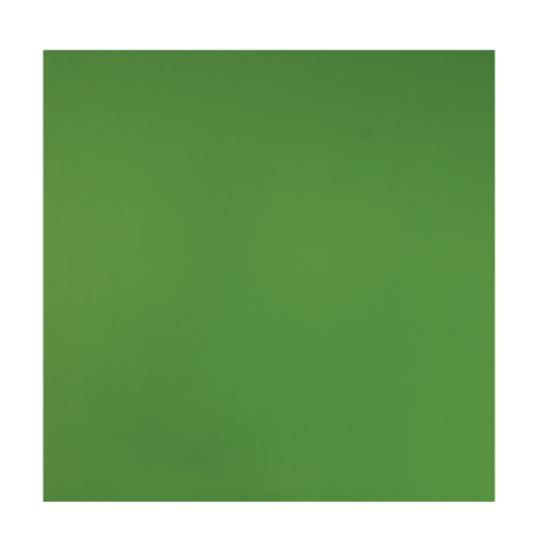 Lawn Green Color PVC Flooring