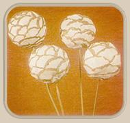 सोलो गाज़र का गोला