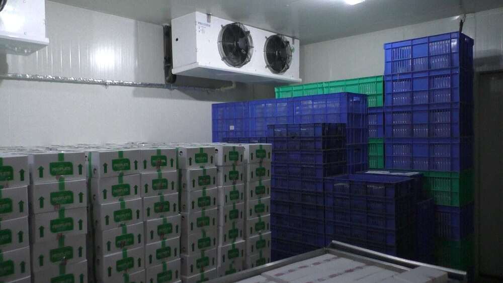 Freezer Room
