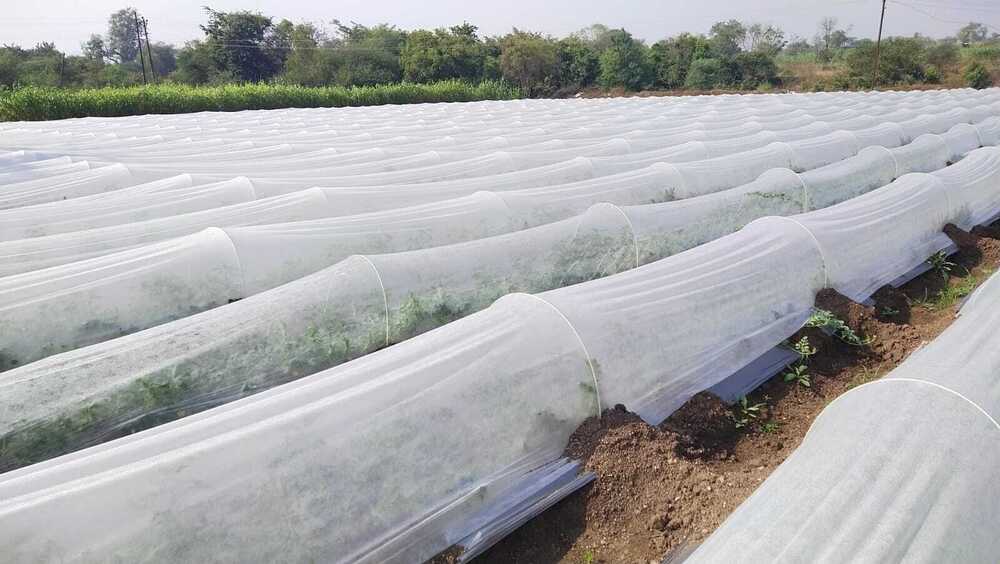 Crop Cover - Advantage: Protection