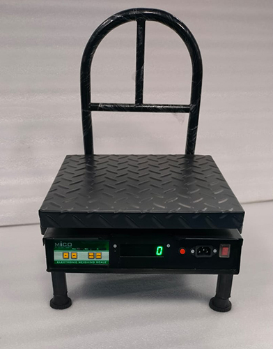 100kg Chicken Electronic Weighing Scale