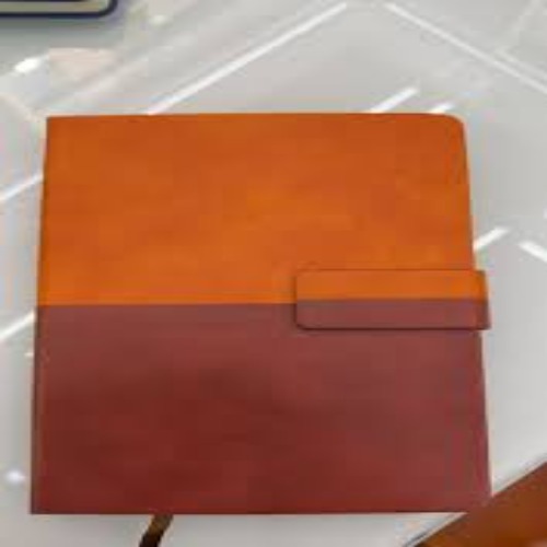 PU Leather Finish Hardbound Magnet Double Colour Diary with Strap Closure (SS-764)