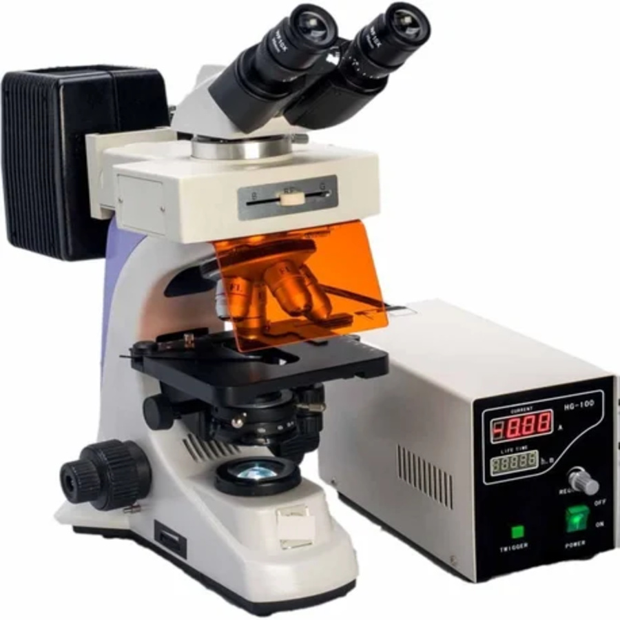 Conxport Fluorescent Research Microscope
