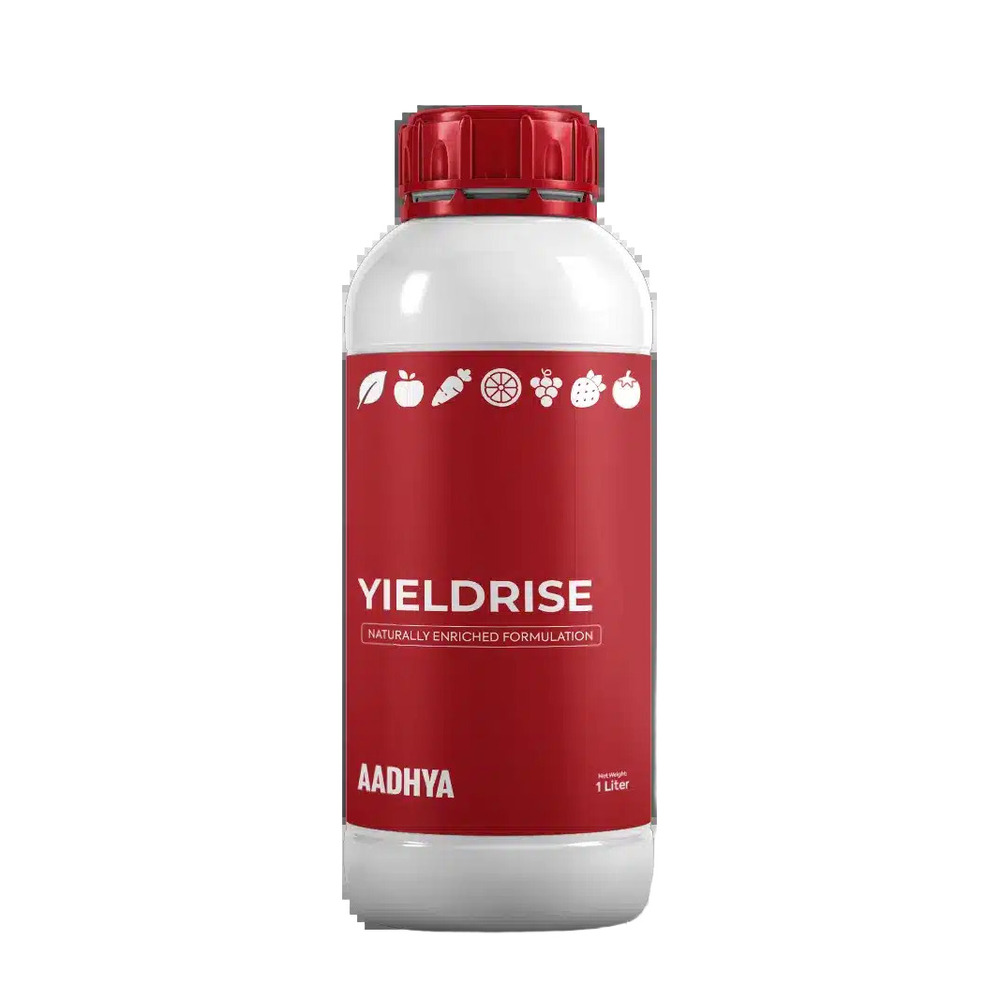 Yieldrise Bio Stimulants - Application: Agriculture