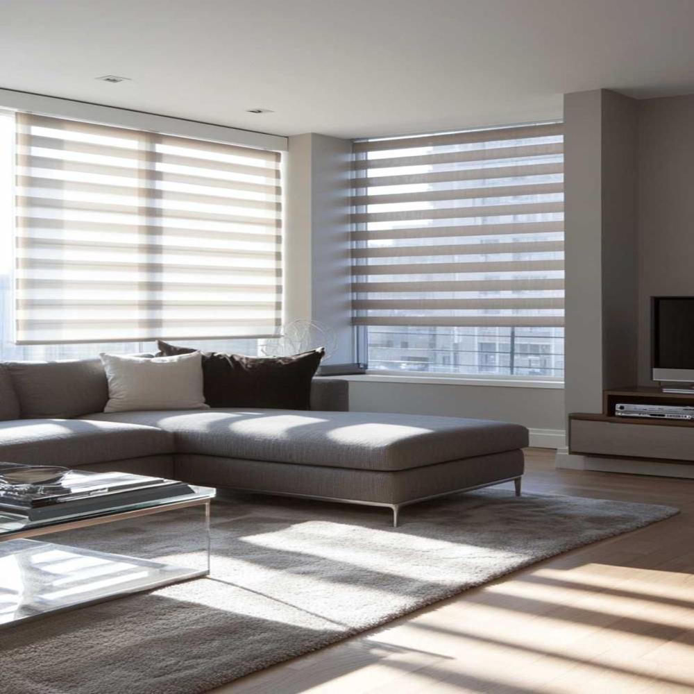 Pvc Horizontal Zebra Blinds