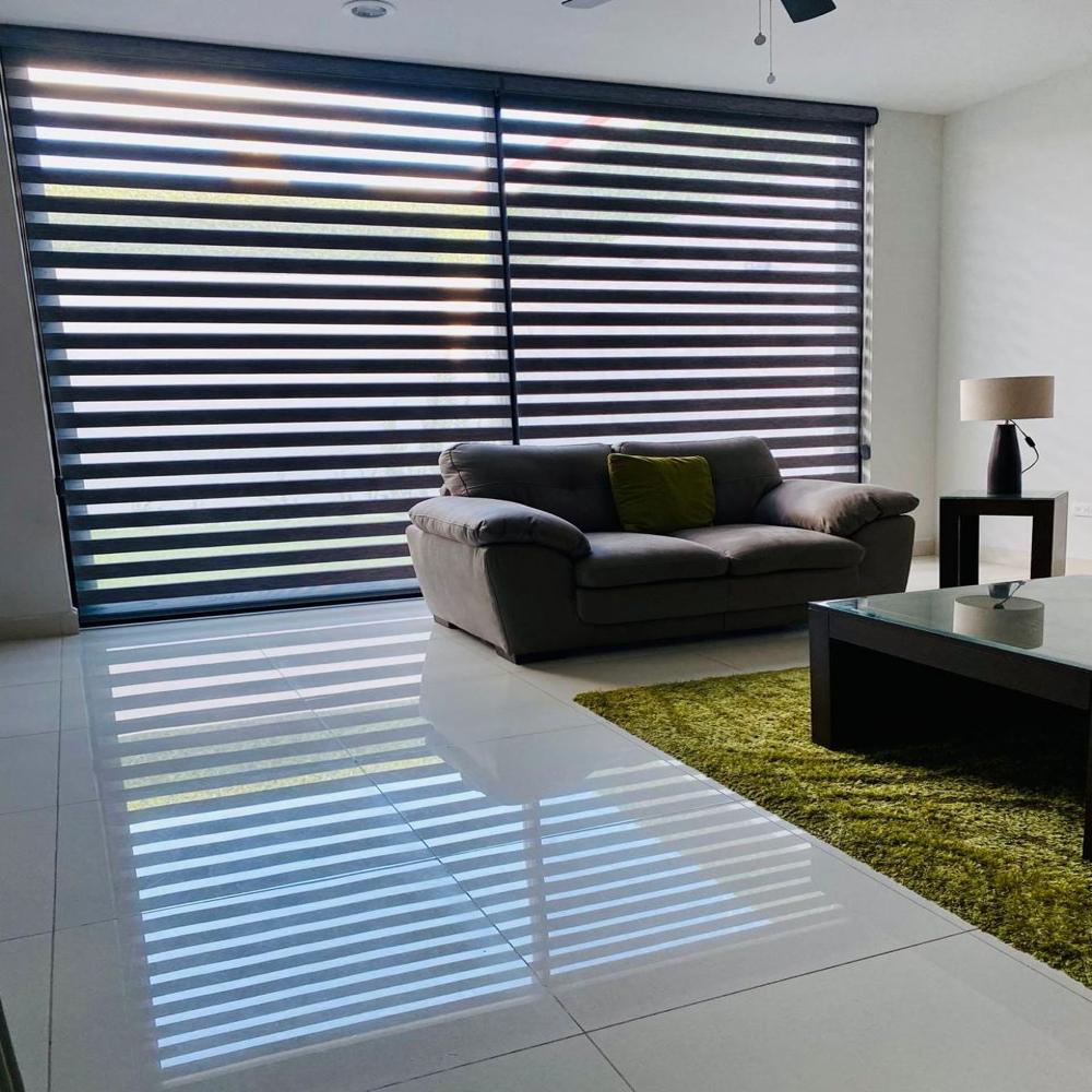 Pvc Horizontal Zebra Blinds