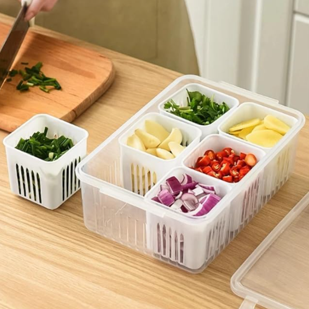 6 Grid Fridge Container