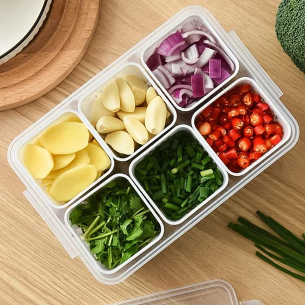 6 grid fridge container