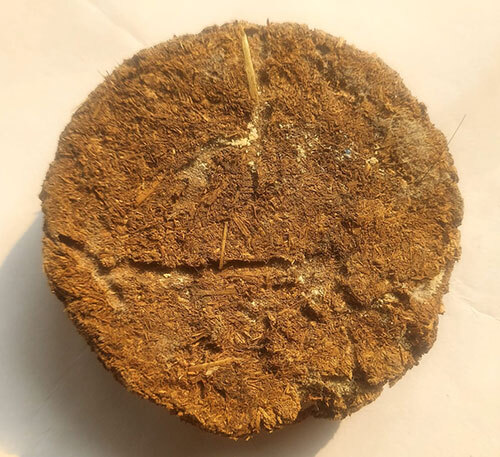 Pure Dung Cake - Color: Natural Brown