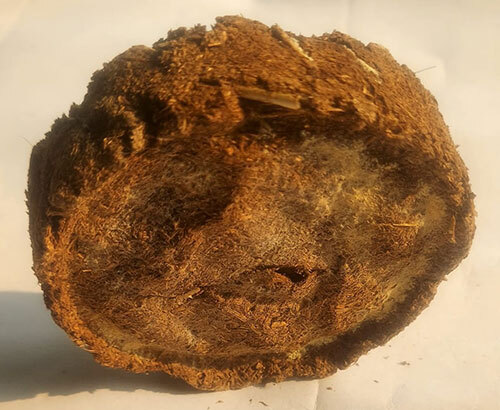 Pure Dung Cake - Color: Natural Brown